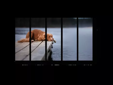 Модульная картина Picsis