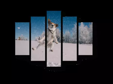 Модульная картина Picsis