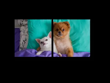 Модульная картина Picsis