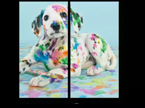 Модульная картина Picsis