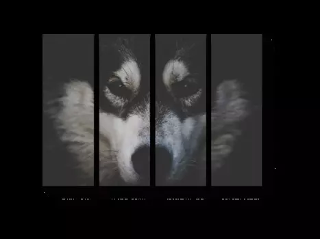 Модульная картина Picsis