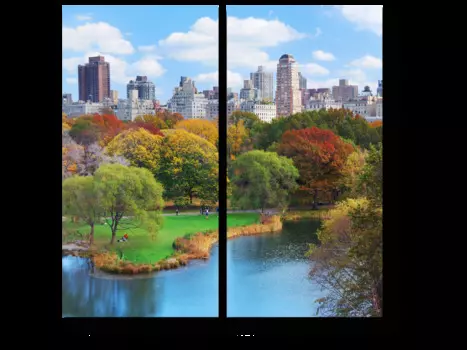 Модульная картина Picsis