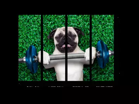 Модульная картина Picsis