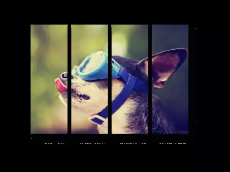 Модульная картина Picsis