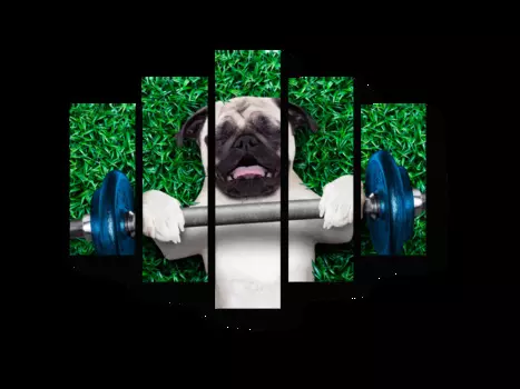 Модульная картина Picsis