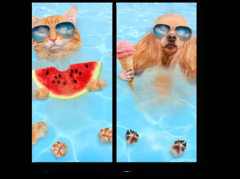 Модульная картина Picsis