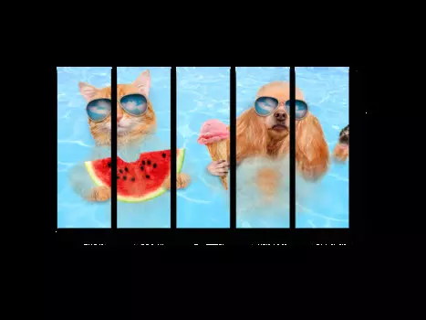 Модульная картина Picsis