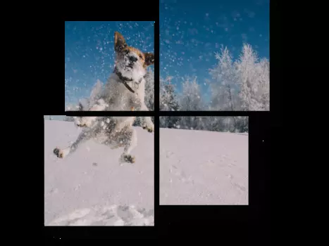 Модульная картина Picsis