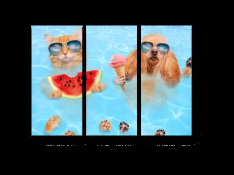 Модульная картина Picsis