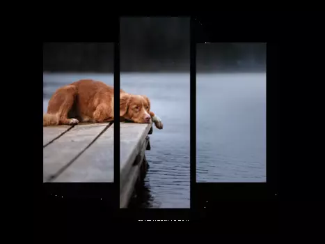 Модульная картина Picsis