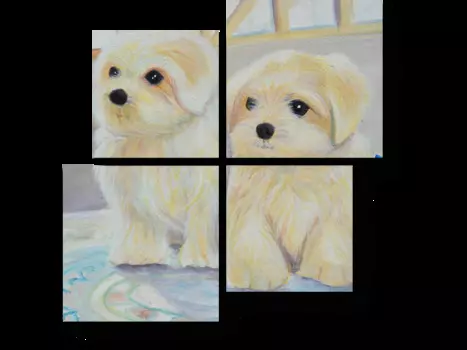 Модульная картина Picsis