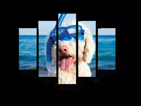 Модульная картина Picsis