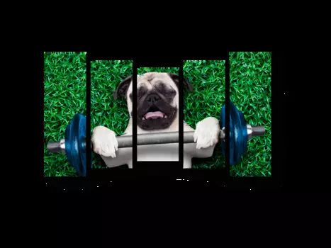 Модульная картина Picsis