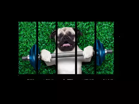 Модульная картина Picsis