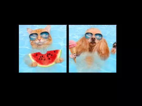 Модульная картина Picsis