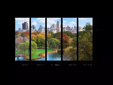 Модульная картина Picsis