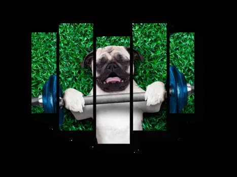 Модульная картина Picsis