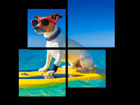 Модульная картина Picsis