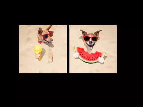 Модульная картина Picsis