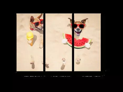 Модульная картина Picsis