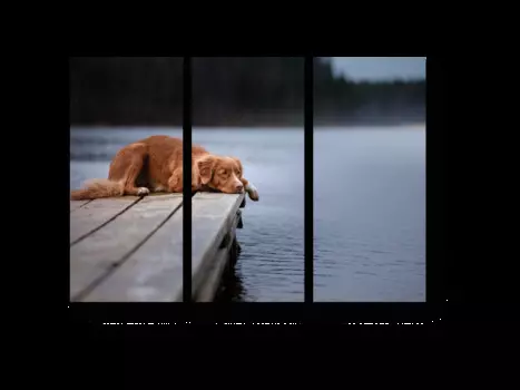 Модульная картина Picsis