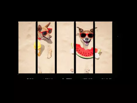 Модульная картина Picsis