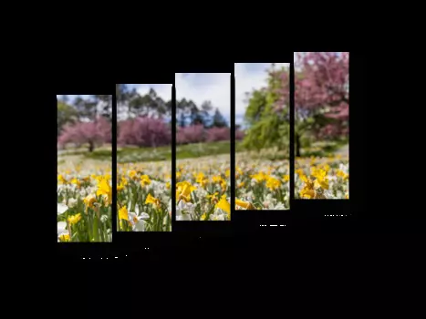 Модульная картина Picsis