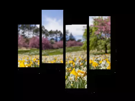 Модульная картина Picsis