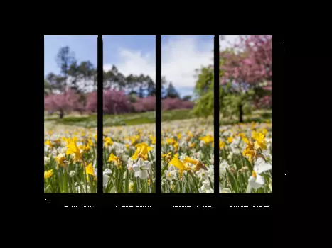 Модульная картина Picsis