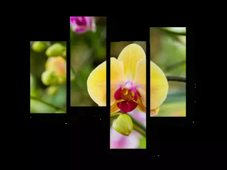 Модульная картина Picsis