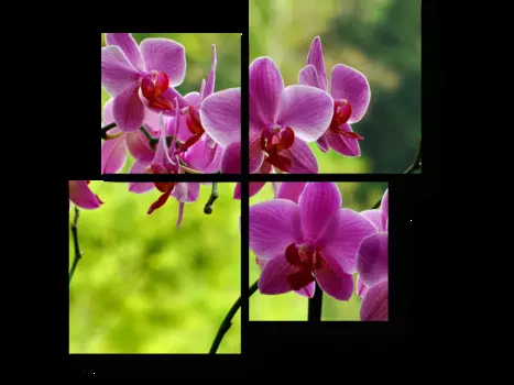 Модульная картина Picsis