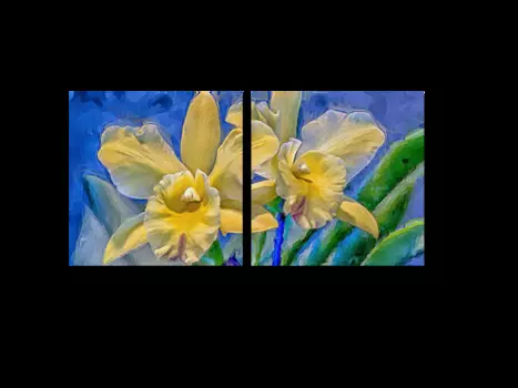 Модульная картина Picsis