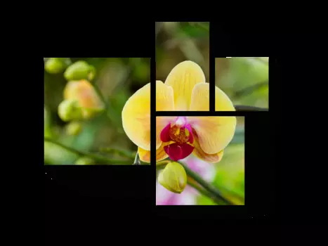 Модульная картина Picsis