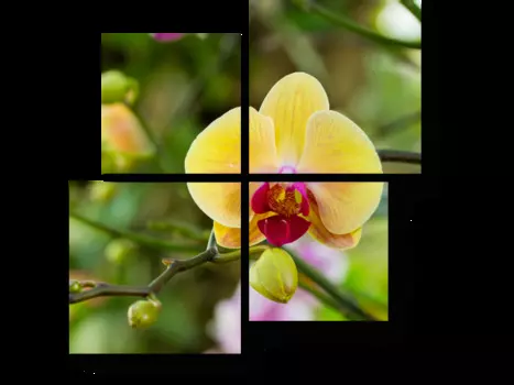 Модульная картина Picsis