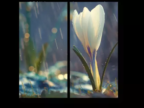 Модульная картина Picsis