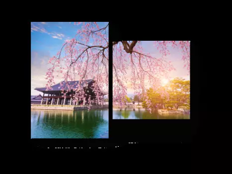 Модульная картина Picsis