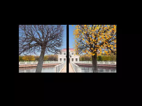 Модульная картина Picsis