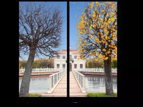 Модульная картина Picsis