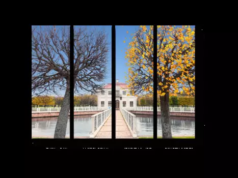 Модульная картина Picsis