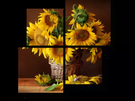 Модульная картина Picsis