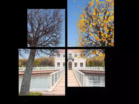 Модульная картина Picsis