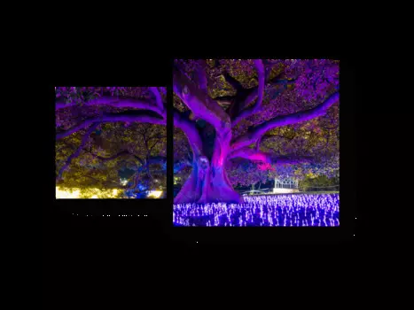 Модульная картина Picsis