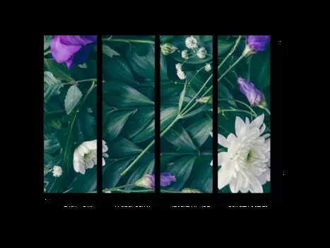 Модульная картина Picsis