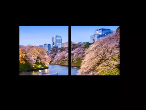 Модульная картина Picsis