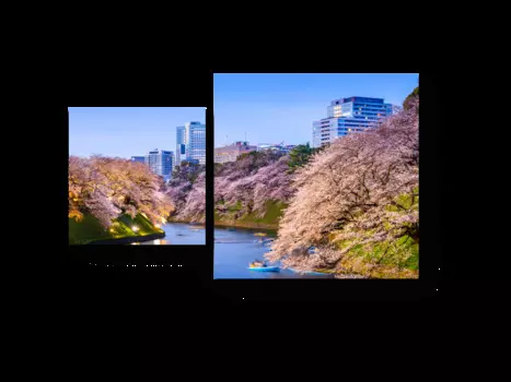 Модульная картина Picsis