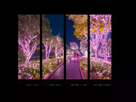 Модульная картина Picsis