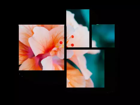 Модульная картина Picsis