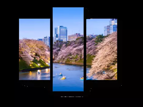 Модульная картина Picsis