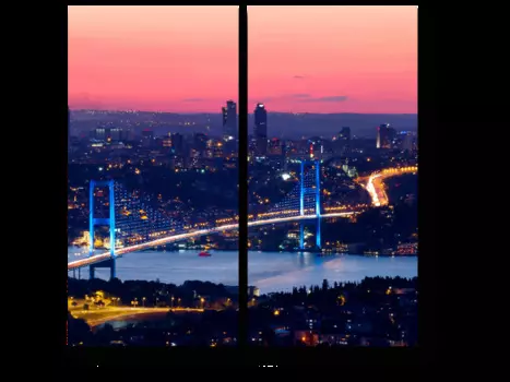 Модульная картина Picsis