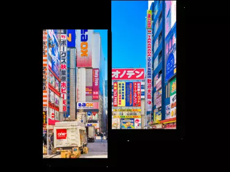 Модульная картина Picsis